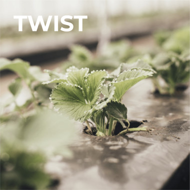 TWIST (frigo, WB)