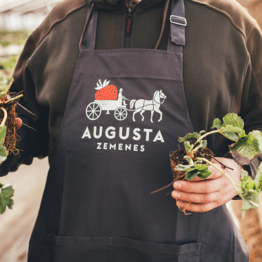 PARLANDO (frigo, TRAY)...