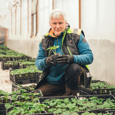 SENGA SENGANA (frigo A++,...