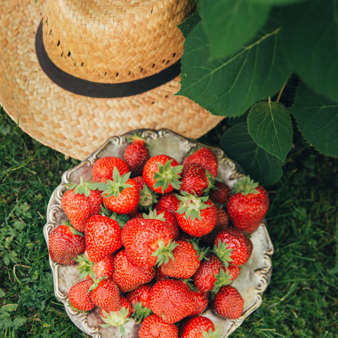 TWIST (frigo, TRAY) 2026....