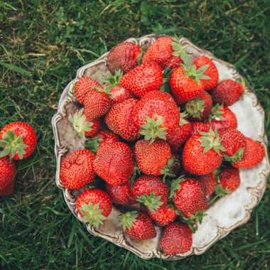 FLAIR (frigo, TRAY) 2026....