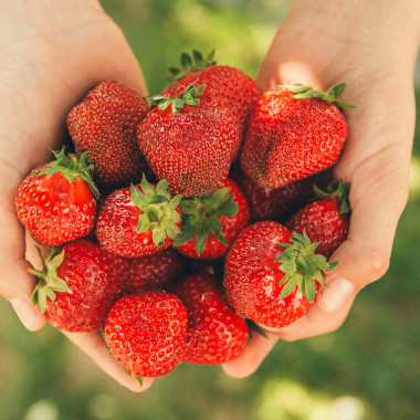 FLAIR (frigo, WB) 2026....