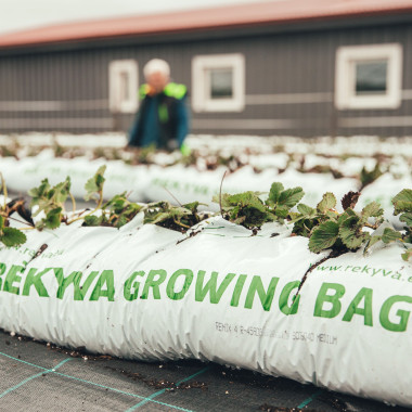 FLAIR (frigo, WB) 2026....