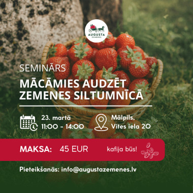 Klātienes seminārs...
