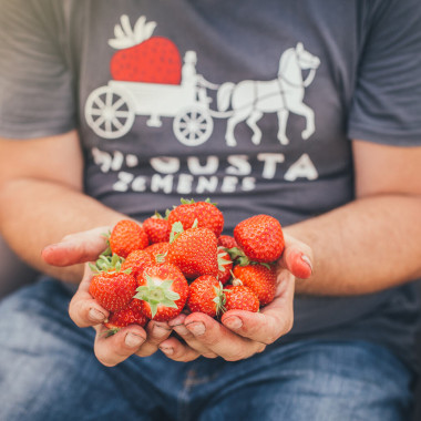 SONSATION (frigo, WB) 2026....