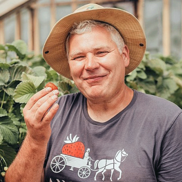 Kā pirmās zemenes ēst jau agri pavasarī? 